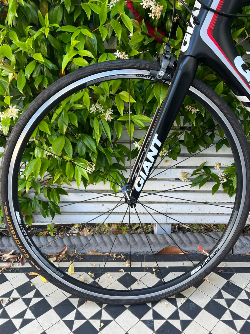 Giant TCR Advanced 1 Ultegra 2014