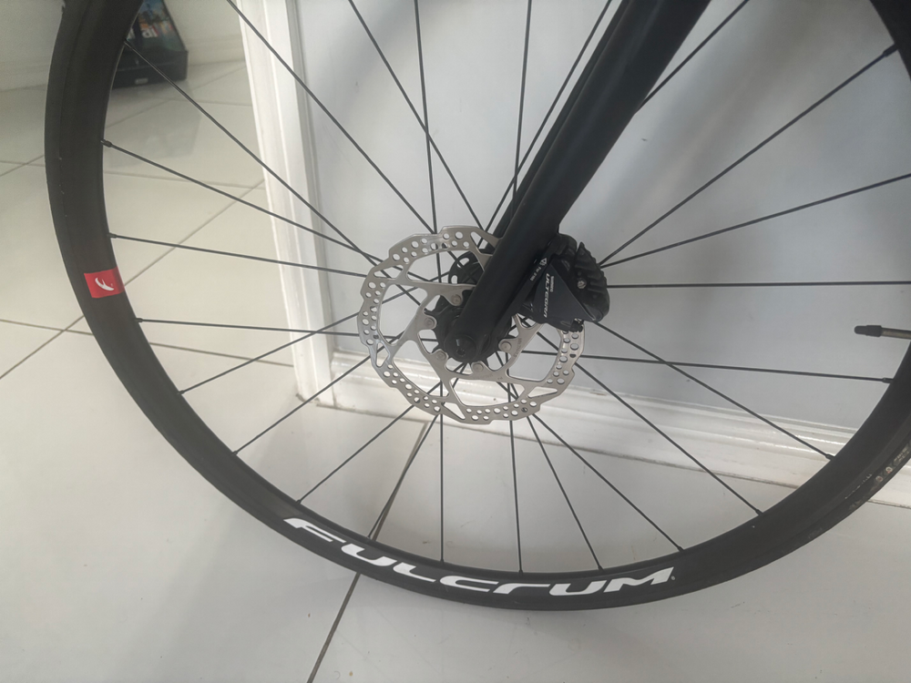 Silver Back Ultegra catrbon 2024