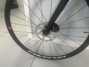 Silver Back Ultegra carbon 2024