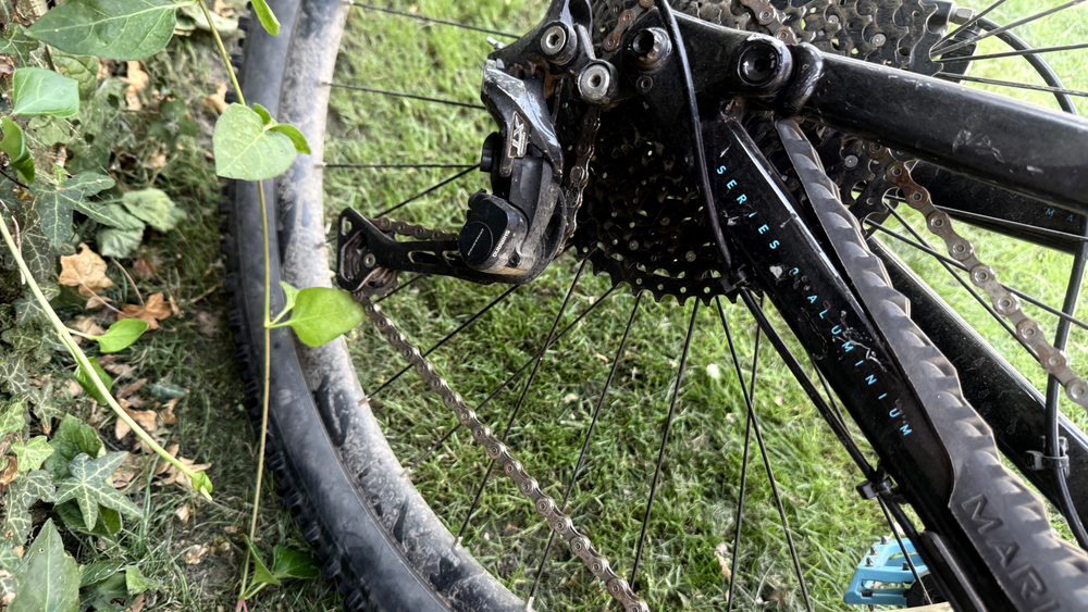 Marin Rift Zone 1 29 2021