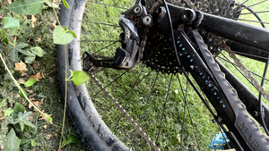 Marin Rift Zone 1 29 2021