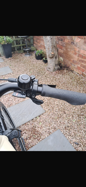 Raleigh Motus GT Lowstep Derailleur 46cm Small 2024