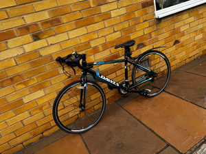 Dawes Giro 300 2014