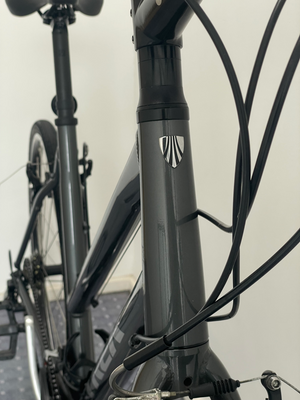 Trek Trek FX 1 Stagger 2023