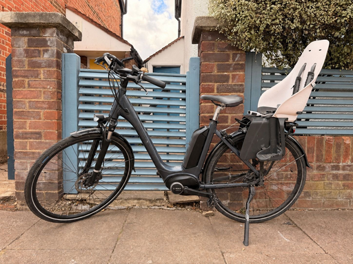 Raleigh Motus Lowstep 2021