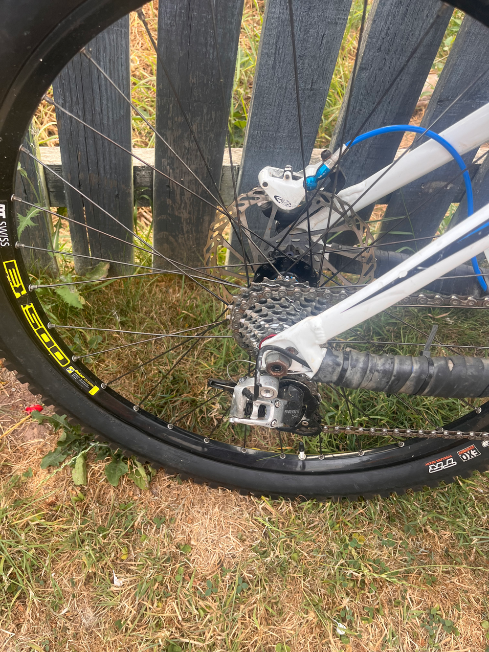 Giant Glory Advanced Downhill 2024