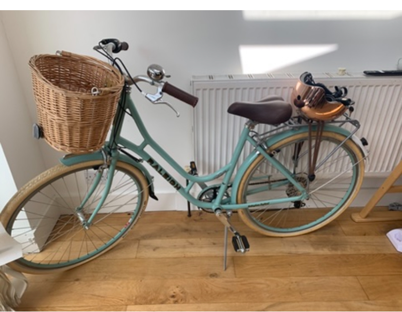 Raleigh Willow  2020