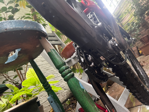Canyon Torque CF 8.0 2019