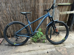 Norco Fluid HT 1 2019
