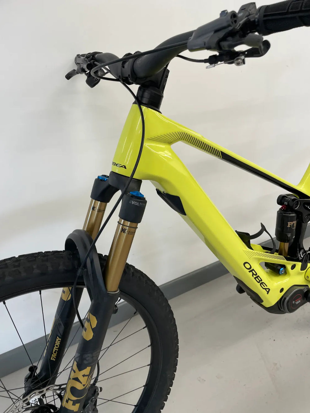 Orbea WILD/M M10 CUSTOM Mullet 2026