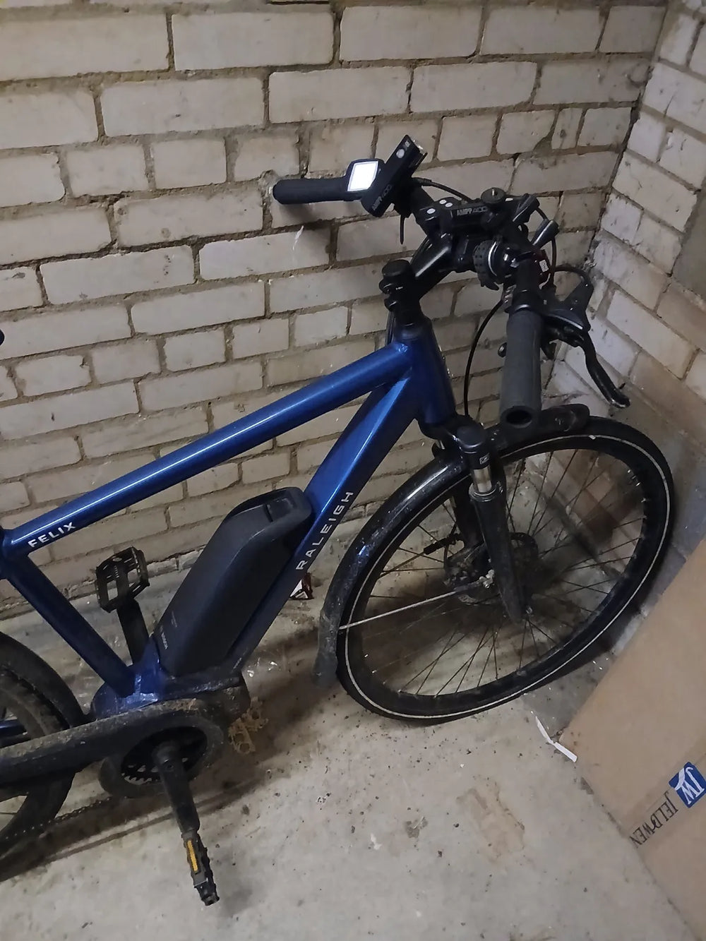 Raleigh Felix 2022