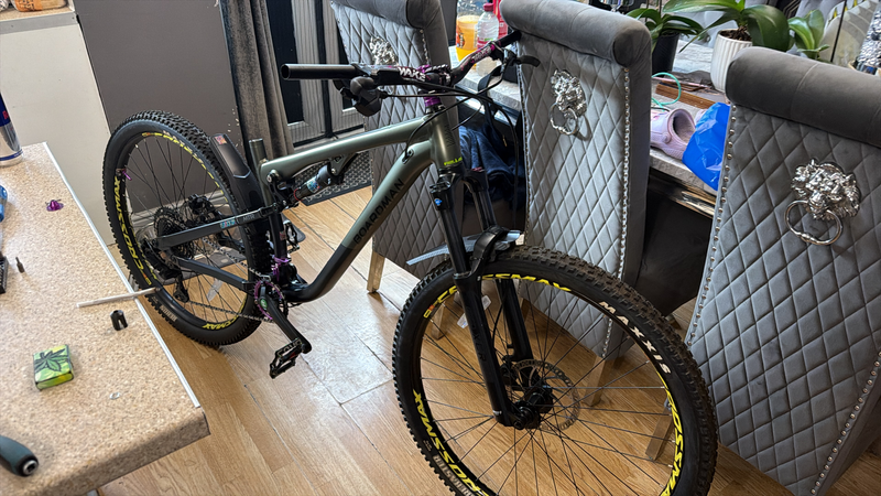 Boardman MTR 8 6 Trail 2025