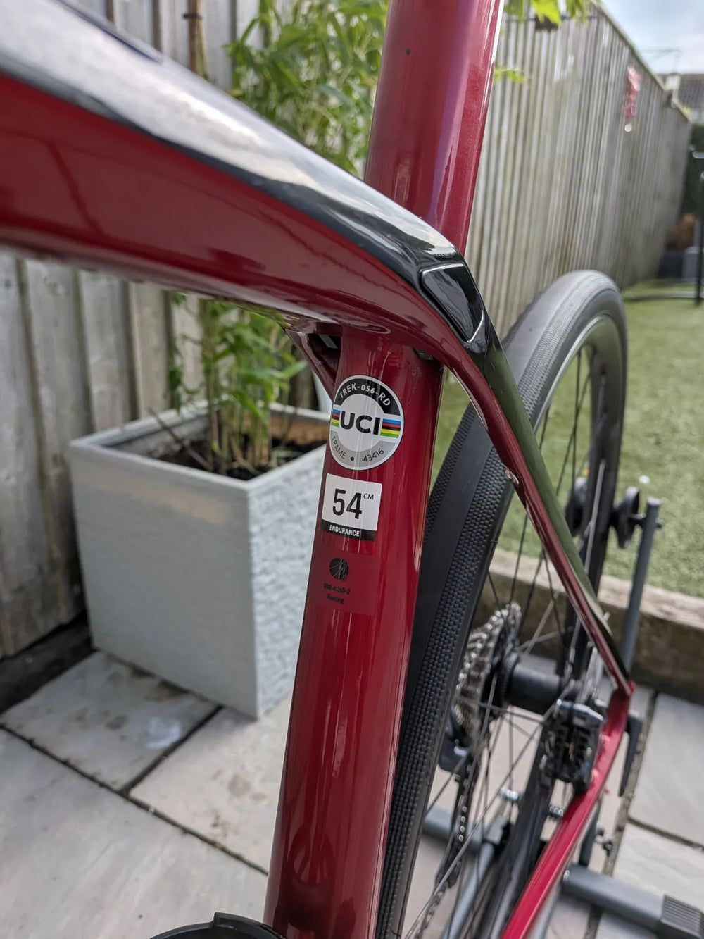 Trek Domane SL 6 2022
