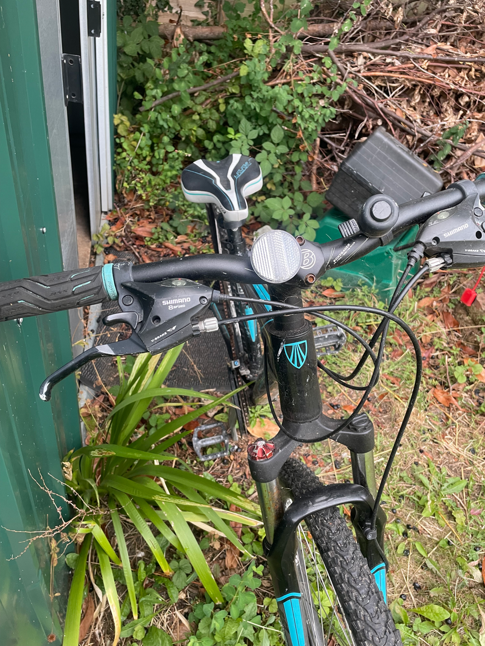 Trek Skye SL 2018