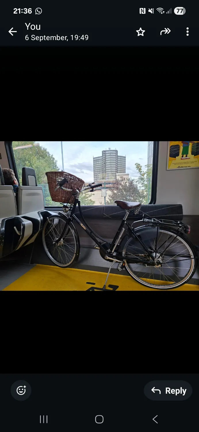 Pashley Princess Sovereign 5 Speed 2020