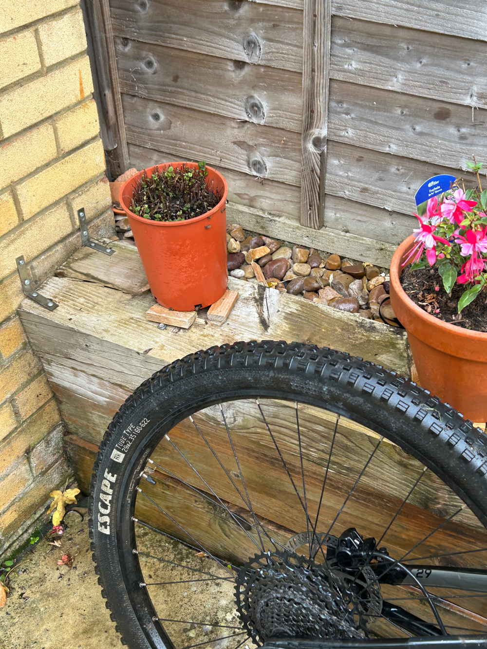 Norco Fluid FS 3 29 2021