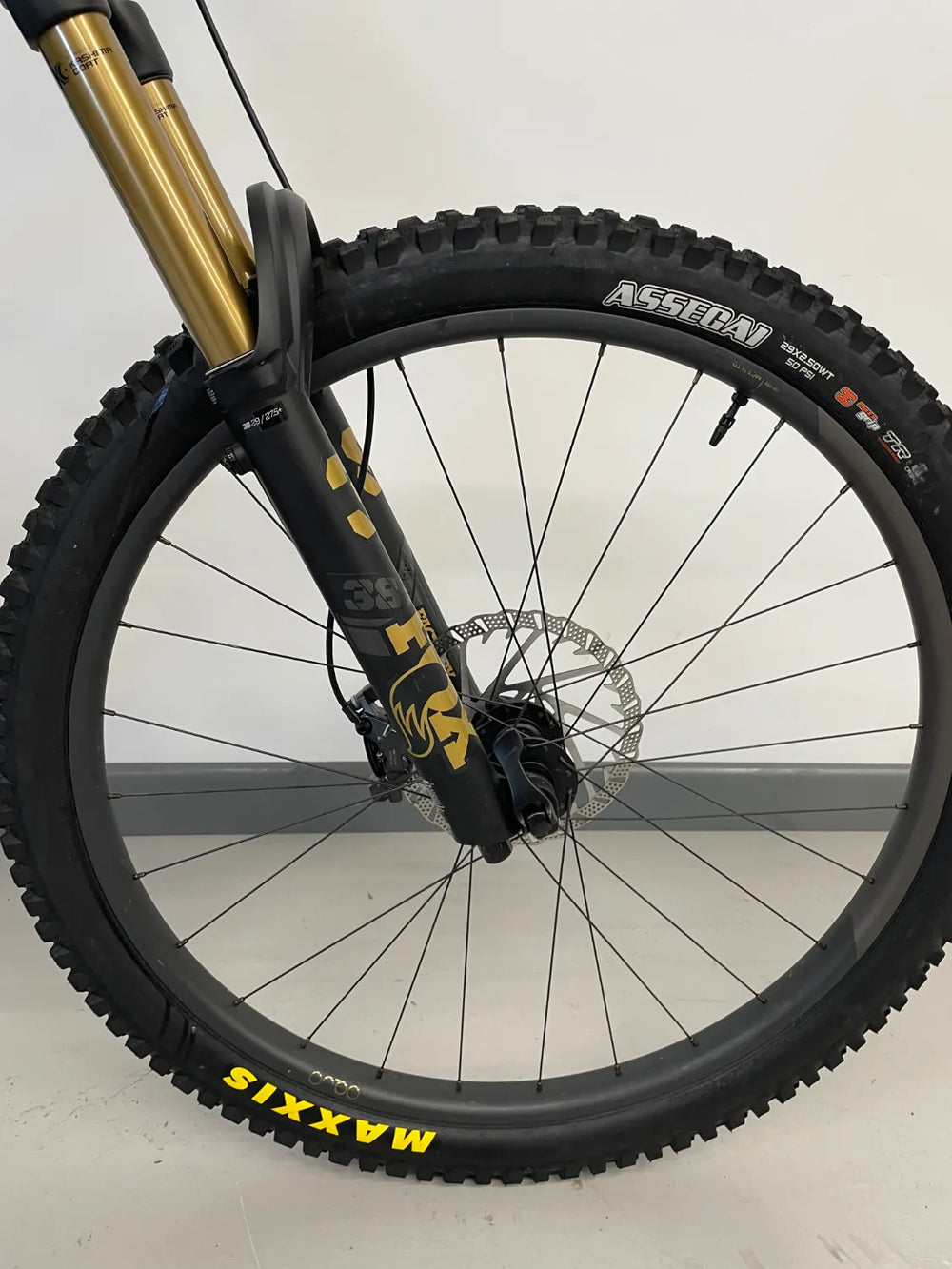 Orbea WILD/M M10 CUSTOM - Electric 2026