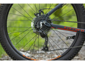 Carrera Vengeance Trail 2026