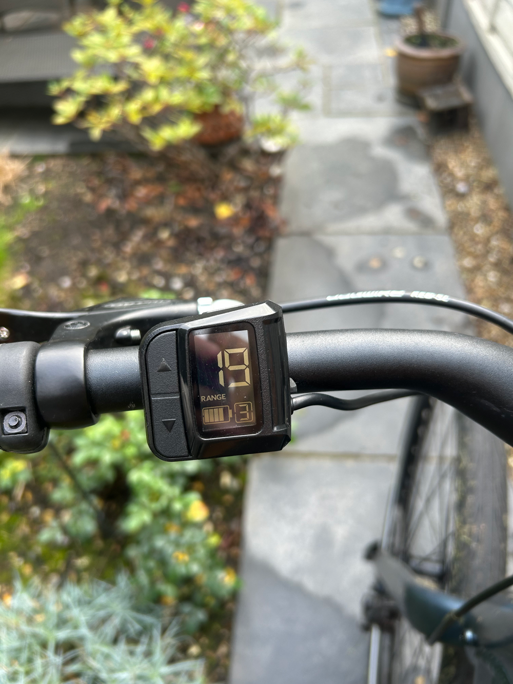 Carrera impel im 2022