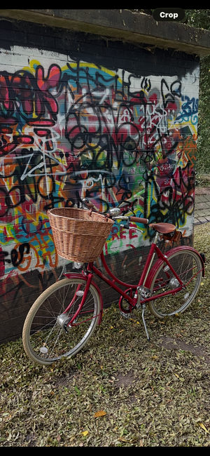 Pashley Britannia 5 Speed 2020