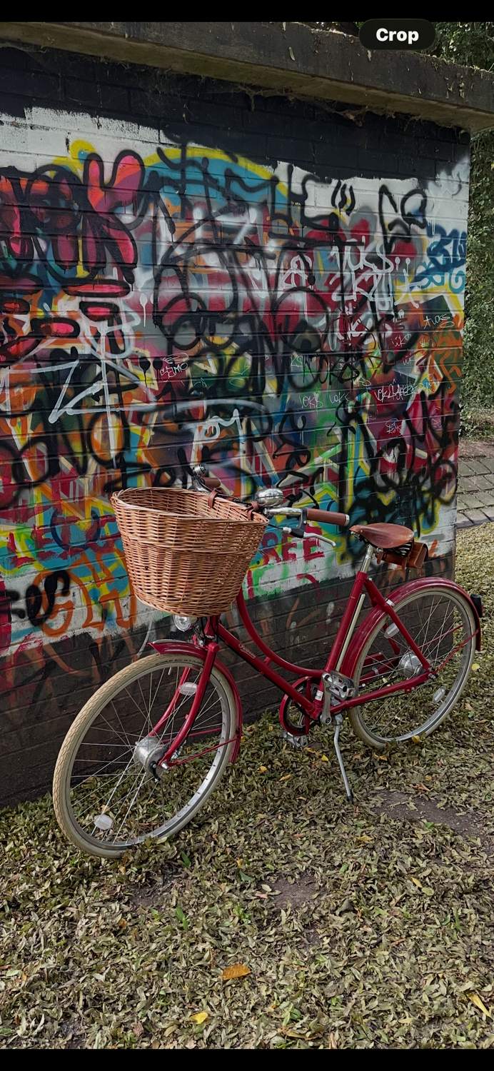 Pashley Britannia 5 Speed 2020