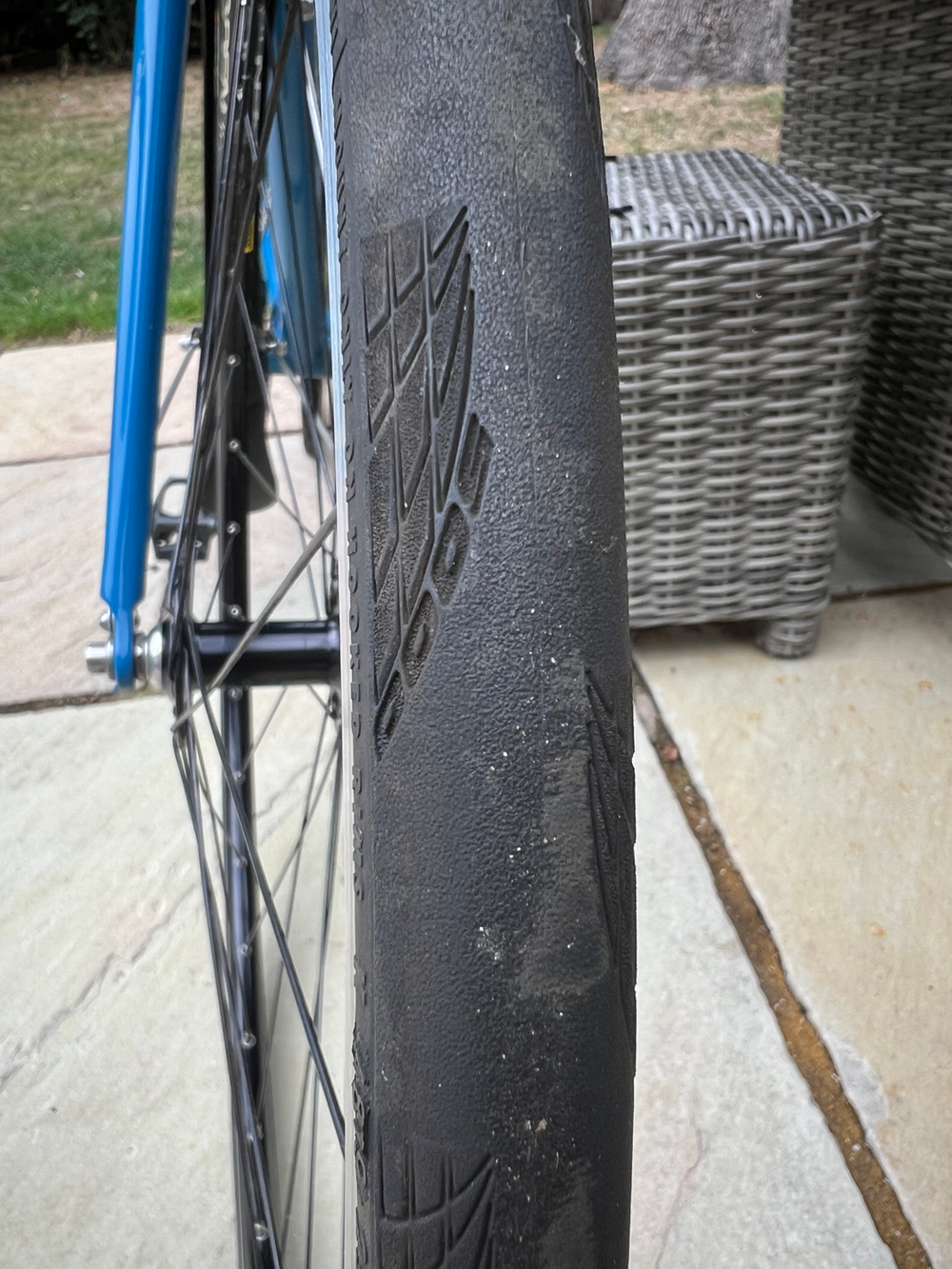 Racer Rosa Single Speed bike 2020