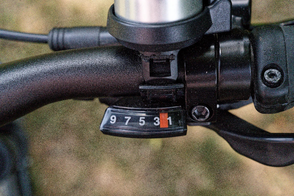 Focus 6.6 2020