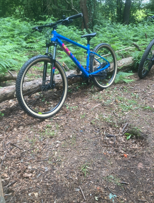 Marin Bobcat Trail 3 27.5 2024