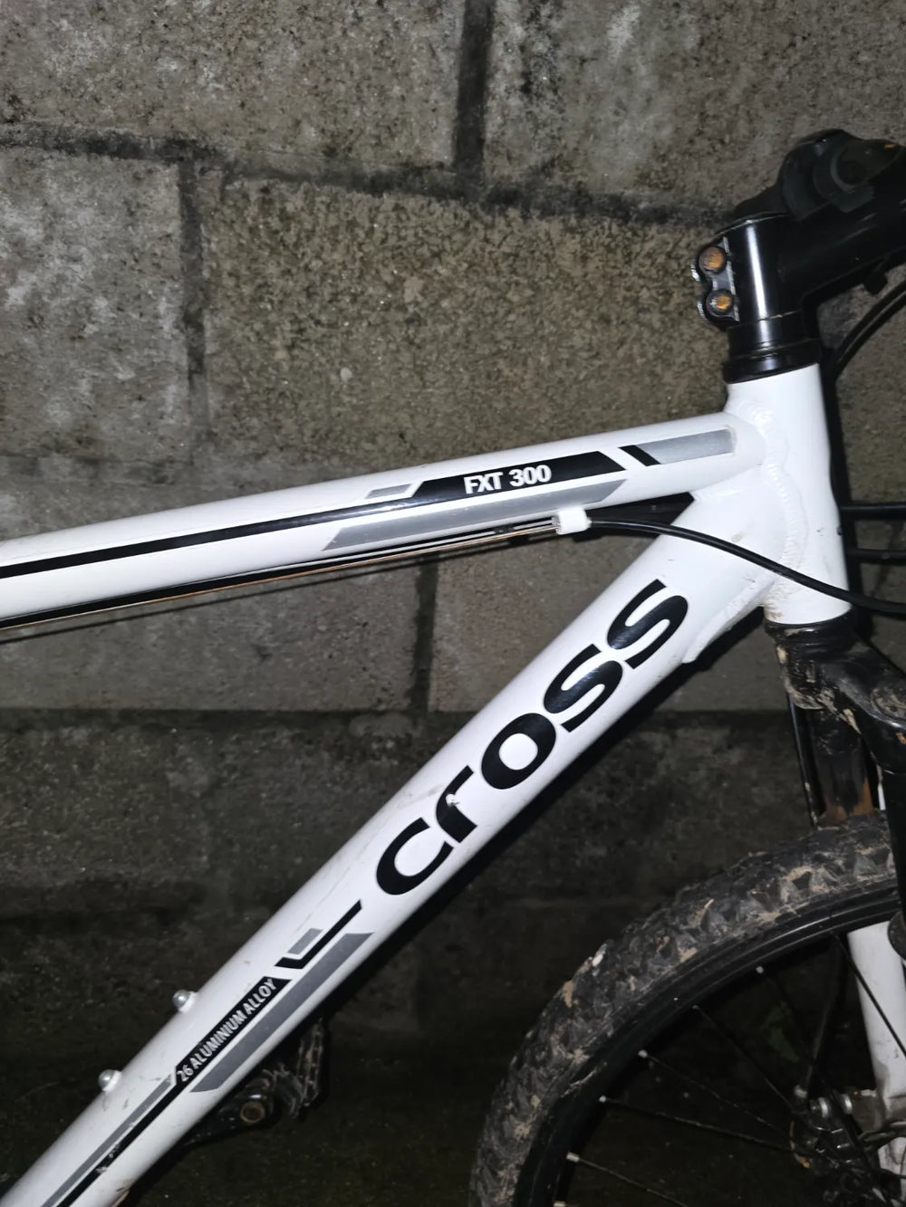 Cross FXT 300 2020