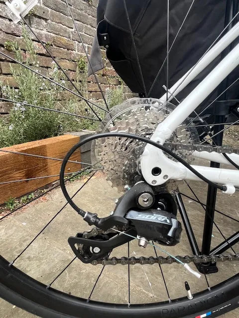Trek Domane AL 3 Disc 2022