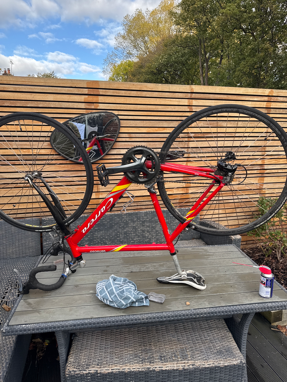 Carrera Virtuoso 2020