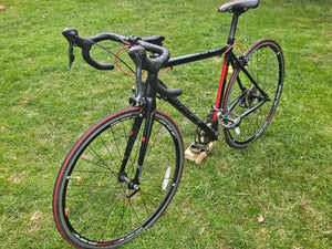 Avenir Ace  2015