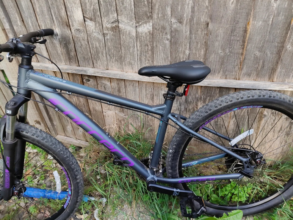Carrera Vengeance , 2024