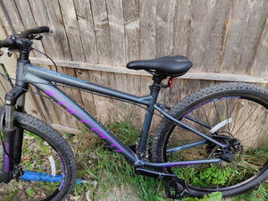 Carrera Vengeance , 2024