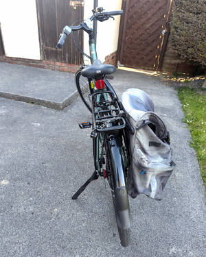 Raleigh Motus Ltd Lowstep Electric 2025