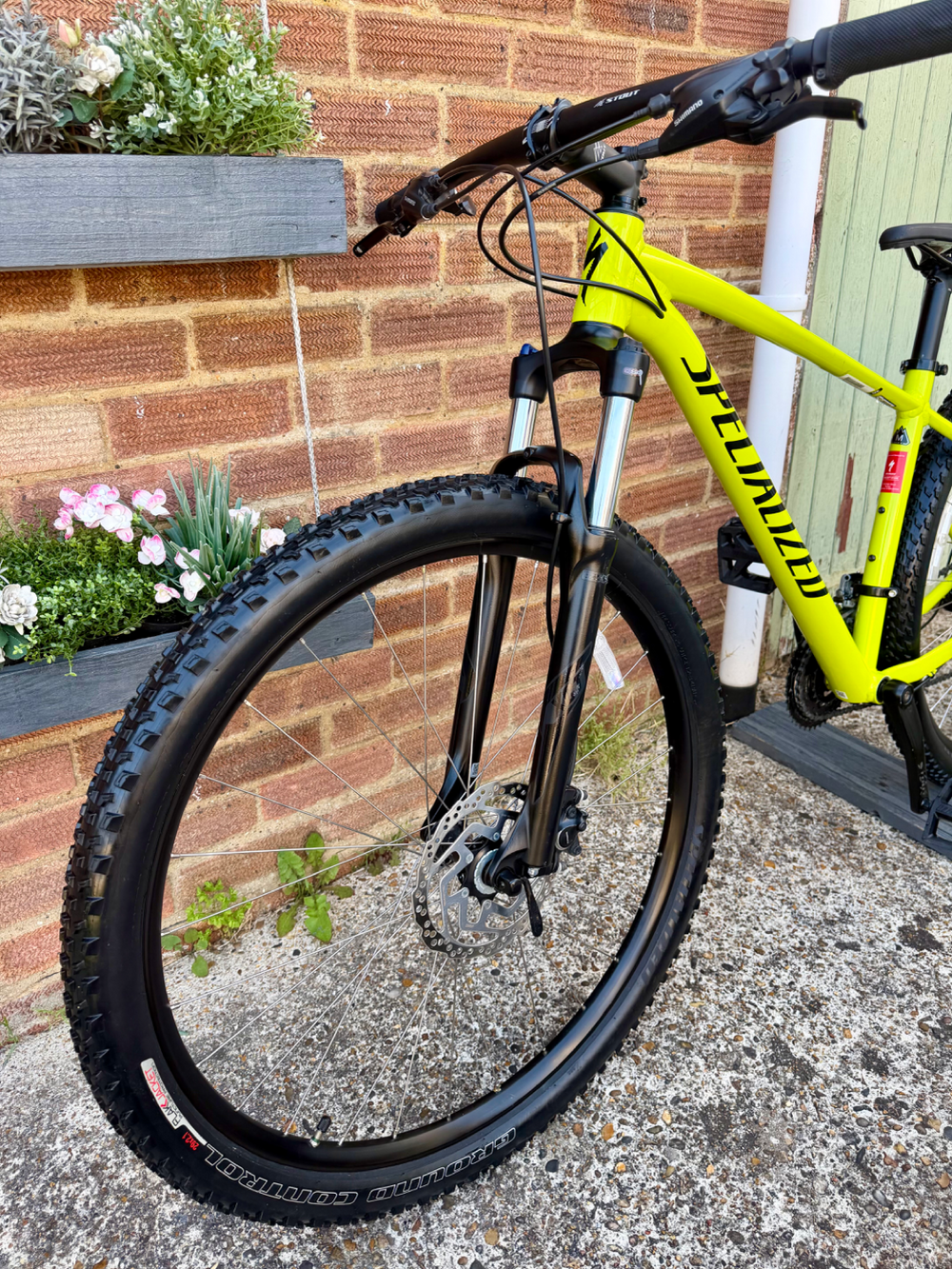 Specialized Rockhopper 29 2023