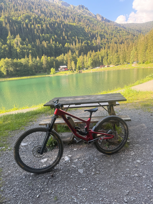 Nukeproof Giga Carbon Pro 290/297 2026
