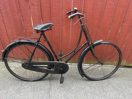 Raleigh Special 2017