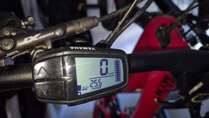 Haibike Allmtn Cf 12 2023