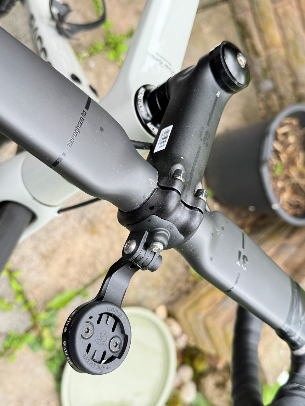 Basso Venta 2024