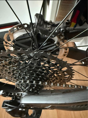Scott Genius 900 Tuned 2024