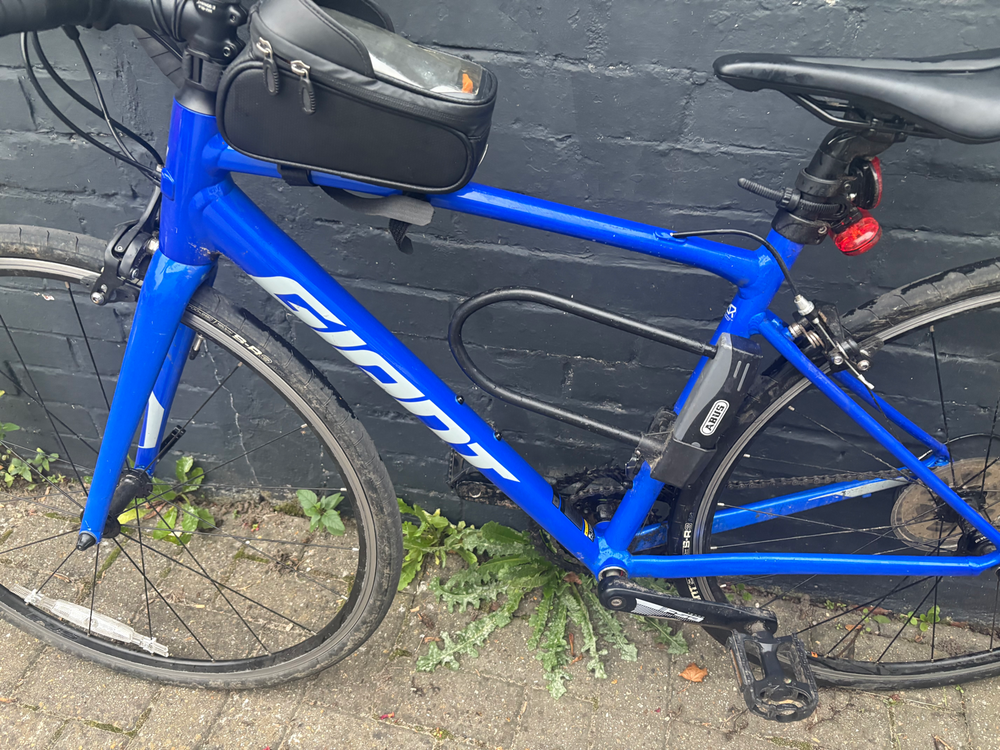 Giant Contend 2 2024