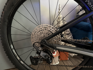 Trek Roscoe 7 2024
