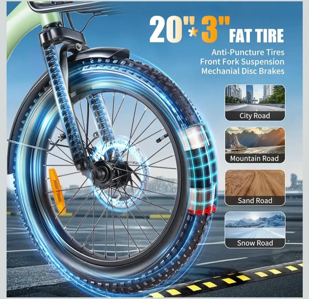 TWOFIS Electric Bicycle  2025