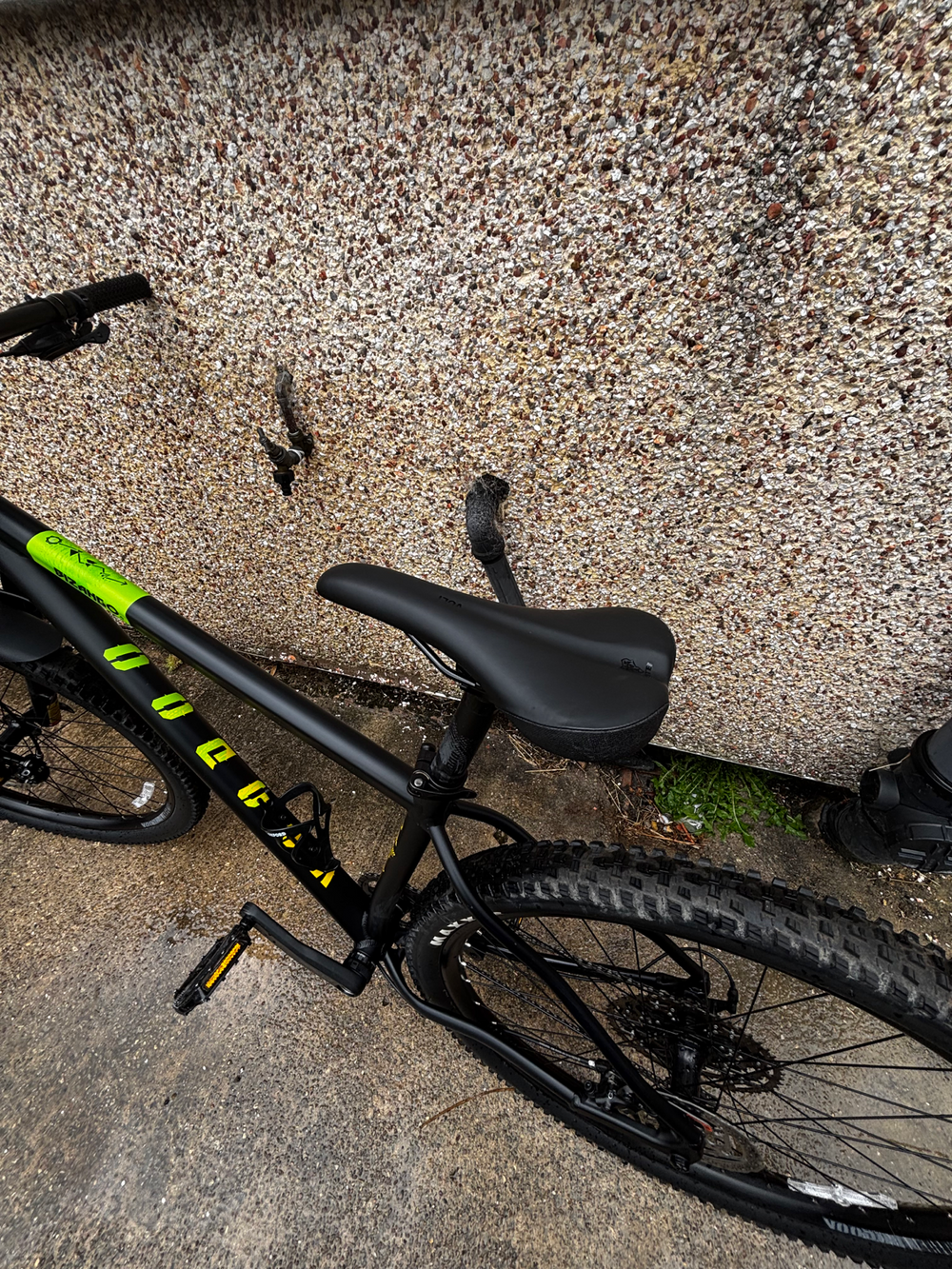 Voodoo Bizango 29 2023
