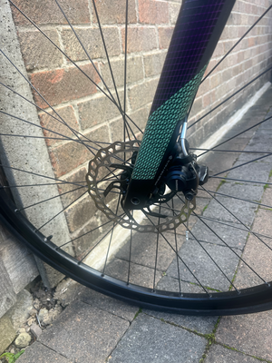 Orbea Gain D50 2022