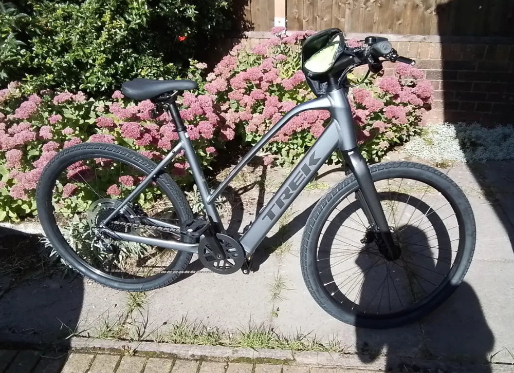 Trek Dual Sport+ 2 Stagger 2023
