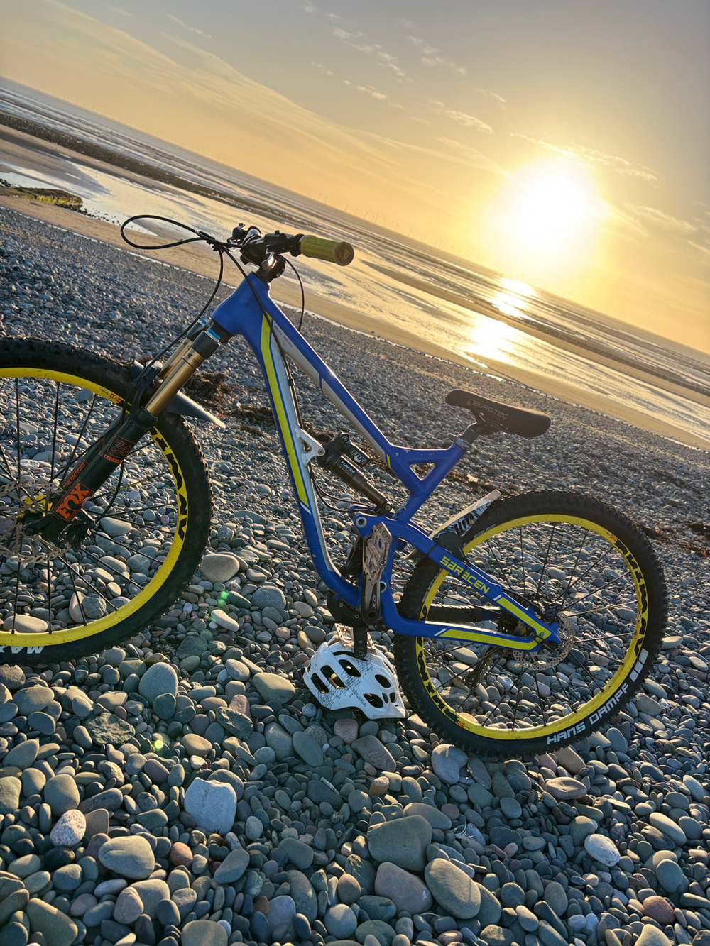 Saracen Ariel Elite 2019