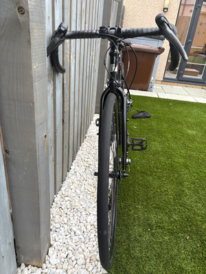 Marin Nicasio 1 Road 2024