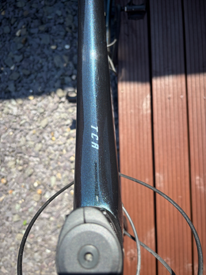 Giant TCR 2 2024